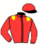 casaque portée par Bigeon W. jockey du cheval de course LEONARDO DE LOU, information pmu ZETURF