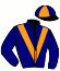 casaque portée par Forget X. jockey du cheval de course LEADER DU SAPHIR, information pmu ZETURF
