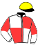 casaque portée par Ploquin Pau. Ph. jockey du cheval de course IZIA DE MONGIVAL, information pmu ZETURF