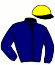 casaque portée par Abrivard M. jockey du cheval de course INDUCTIF, information pmu ZETURF casaque portée par Abrivard M. jockey du cheval de course INDUCTIF, information pmu ZETURF