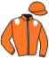 casaque portée par Gougeon R. jockey du cheval de course KATIA MON NEVEU, information pmu ZETURF casaque portée par Gougeon R. jockey du cheval de course KATIA MON NEVEU, information pmu ZETURF
