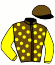 casaque portée par Roussel And. jockey du cheval de course LUNA PARK, information pmu ZETURF casaque portée par Roussel And. jockey du cheval de course LUNA PARK, information pmu ZETURF