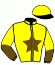 casaque portée par Cholloux M. jockey du cheval de course JANELLE DES VENTS, information pmu ZETURF casaque portée par Cholloux M. jockey du cheval de course JANELLE DES VENTS, information pmu ZETURF