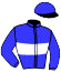 casaque portée par Pouvrasseau Dom. jockey du cheval de course HELIER, information pmu ZETURF casaque portée par Pouvrasseau Dom. jockey du cheval de course HELIER, information pmu ZETURF