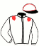 casaque portée par Pellan B. jockey du cheval de course GABY DU LOT, information pmu ZETURF casaque portée par Pellan B. jockey du cheval de course GABY DU LOT, information pmu ZETURF