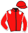 casaque portée par Non Partant jockey du cheval de course BEAUTIFUL MEMORY, information pmu ZETURF casaque portée par Non Partant jockey du cheval de course BEAUTIFUL MEMORY, information pmu ZETURF