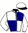 casaque portée par Lebouteiller K. jockey du cheval de course GUPITER, information pmu ZETURF