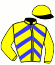 casaque portée par Lemaire Mlle C. E. jockey du cheval de course FOLLE TIGRESSE, information pmu ZETURF