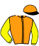 casaque portée par Herrault M. jockey du cheval de course FIRST DU FOSSE (FR), information pmu ZETURF