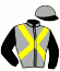 casaque portée par Decaudin Mlle S. jockey du cheval de course GRANGE DARA (FR), information pmu ZETURF