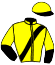 casaque portée par Abrivard L. jockey du cheval de course DREAM DU CHATAULT (FR), information pmu ZETURF