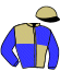 casaque portée par Bourgoin-timbert A. jockey du cheval de course GAMME NINA, information pmu ZETURF