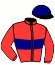 casaque portée par Heurtebise M. jockey du cheval de course HORIZON PELSA (FR), information pmu ZETURF
