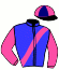 casaque portée par Schwartz B. jockey du cheval de course DIVINELLA, information pmu ZETURF