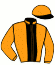 casaque portée par Neirinck Ado. jockey du cheval de course GRAND SOIR LE FOL, information pmu ZETURF casaque portée par Neirinck Ado. jockey du cheval de course GRAND SOIR LE FOL, information pmu ZETURF