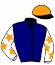 casaque portée par Lebourgeois Y. jockey du cheval de course LARA MADRIK, information pmu ZETURF casaque portée par Lebourgeois Y. jockey du cheval de course LARA MADRIK, information pmu ZETURF
