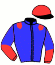 casaque portée par Rochard B. jockey du cheval de course ICARINO DU CHOQUEL, information pmu ZETURF casaque portée par Rochard B. jockey du cheval de course ICARINO DU CHOQUEL, information pmu ZETURF