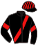 casaque portée par Mottier M. jockey du cheval de course MADAME AF DJUPMYRA, information pmu ZETURF