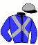 casaque portée par Verva Pie. Y. jockey du cheval de course ILIADE MENCOURT, information pmu ZETURF casaque portée par Verva Pie. Y. jockey du cheval de course ILIADE MENCOURT, information pmu ZETURF