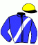 casaque portée par Dromigny T. jockey du cheval de course HAOUSSA DE VENNES, information pmu ZETURF casaque portée par Dromigny T. jockey du cheval de course HAOUSSA DE VENNES, information pmu ZETURF