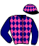 casaque portée par Garandeau A. jockey du cheval de course KIR ROYAL, information pmu ZETURF casaque portée par Garandeau A. jockey du cheval de course KIR ROYAL, information pmu ZETURF