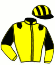 casaque portée par Le Bec J. E. jockey du cheval de course JOKER DU MATCH, information pmu ZETURF