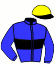 casaque portée par Verkaik F. jockey du cheval de course GREATMAN DE BUSSET, information pmu ZETURF