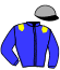 casaque portée par Raffin Th. jockey du cheval de course HILLIONNAISE, information pmu ZETURF casaque portée par Raffin Th. jockey du cheval de course HILLIONNAISE, information pmu ZETURF