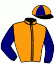 casaque portée par Roulleau P. jockey du cheval de course INVASION D'OEILLET, information pmu ZETURF