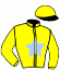 casaque portée par Donio G. jockey du cheval de course FLOPY RUSH, information pmu ZETURF