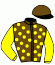 casaque portée par Barrier A. jockey du cheval de course JAPONICA, information pmu ZETURF casaque portée par Barrier A. jockey du cheval de course JAPONICA, information pmu ZETURF