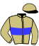 casaque portée par Peltier T. jockey du cheval de course FAARRON DE VIETTE, information pmu ZETURF