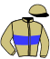 casaque portée par Peltier T. jockey du cheval de course FAARRON DE VIETTE, information pmu ZETURF casaque portée par Peltier T. jockey du cheval de course FAARRON DE VIETTE, information pmu ZETURF