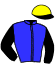 casaque portée par Beauchene Th. jockey du cheval de course FAVELA SOMOLLI, information pmu ZETURF casaque portée par Beauchene Th. jockey du cheval de course FAVELA SOMOLLI, information pmu ZETURF