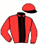 casaque portée par Boudot P. C. jockey du cheval de course ECHO NIKO (FR), information pmu ZETURF