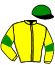 casaque portée par Guyon M. jockey du cheval de course SUDFAA (FR), information pmu ZETURF