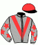casaque portée par Dominois Mlle P. jockey du cheval de course NIKOFOTO (FR), information pmu ZETURF