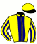 casaque portée par Hardouin E. jockey du cheval de course NEBUCHADNASSER (GB), information pmu ZETURF