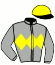 casaque portée par Journiac H. jockey du cheval de course BEAUX VILLAGES (IE), information pmu ZETURF