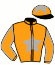casaque portée par Nobili M. jockey du cheval de course GOUVERNAIL (FR), information pmu ZETURF