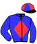 casaque portée par Soumillon C. jockey du cheval de course SRIFANELOGREEN, information pmu ZETURF