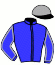 casaque portée par Boisseau L. jockey du cheval de course JANE VIOLETTA, information pmu ZETURF