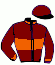 casaque portée par Trullier T. jockey du cheval de course BAY VIEW, information pmu ZETURF