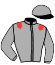 casaque portée par Valle Skar Mlle F. jockey du cheval de course BREATH OF FIRE, information pmu ZETURF