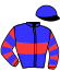 casaque portée par Roussel Léo jockey du cheval de course LETTYT STORM, information pmu ZETURF