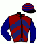casaque portée par Trullier T. jockey du cheval de course SEASCAPE GIRL, information pmu ZETURF