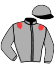 casaque portée par Thomas Ron. jockey du cheval de course BREATH OF FIRE, information pmu ZETURF