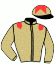 casaque portée par Pouchin A. jockey du cheval de course VIVERNUS, information pmu ZETURF