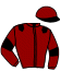 casaque portée par D' Andigne O. jockey du cheval de course ISEA DU BREM, information pmu ZETURF
