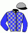 casaque portée par Valle Skar Mlle F. jockey du cheval de course AMOUREUSE, information pmu ZETURF